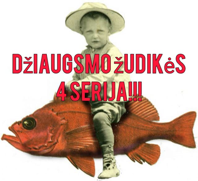 DŽIAUGSMO ŽUDIKĖS | Pažinčių programėlės: priklausomybė ar nuotykis?